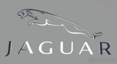 JAGUAR LOGO nalepka Metal Edition CHROM 2KUSY