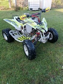 Yamaha Raptor 250