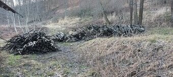 Palivové dřevo