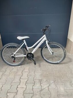 KOLO FREJUS VELIKOST 24