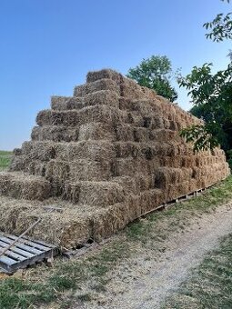 Malé balíky seno/sláma