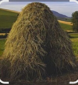 DARUJI LETOŠNI SENO