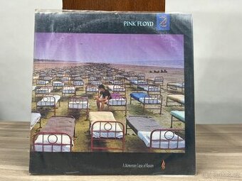 LP PINK FLOYD - A MOMENTARY LAPSE OF REASON