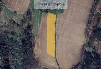 Prodej pole v k.ú. Troskovice