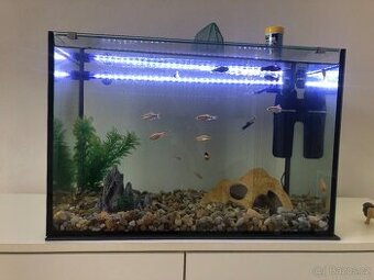 akvarium