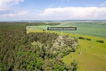 Prodej pole a lesa 84 910 m2