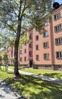 Družstevní byt 2+1, Na kopci Karviná