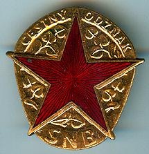 Odznaky policie, vojsko, hasiči - likviduji sbírku