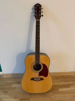 Akustická kytara - 1