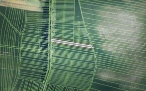 Bonitní orná půda v k.ú. Kyjov