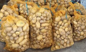 Krmné brambory