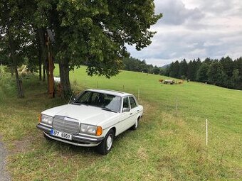 Mercedes W123 240D