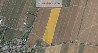 Prodej pole v k.ú. Melč - 1