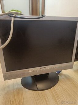 Monitory