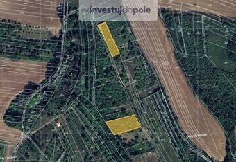 Prodej pole v k.ú. Svatobořice