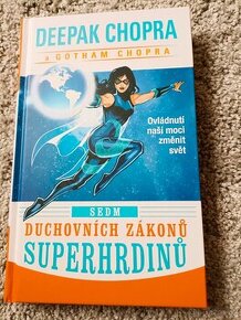 7 duchovních zákonů superhrdinů