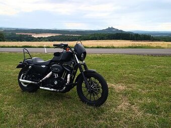 Harley Davidson Sportster Iron 883 (2013)