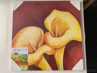 Obraz květina 50 x 50 cm NOVÝ