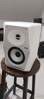 Pioneer VM 50 w
