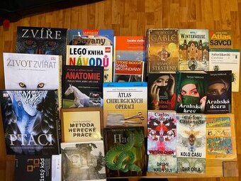 série Ztracený syn,Upíří deníky,Přístav volá,Dějiny odívání