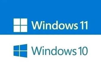 Microsoft Windows 11 Pro / Windows 10 Pro