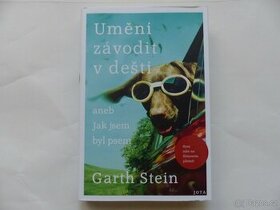 C. Stein : Umění závodit v dešti aneb Jak jsem byl psem