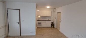 Pronájem 1+kk s lodžií, Zruč nad Sázavou – po rekonstrukci