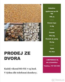 Krmná řepa,mrkev,kukuřice,česnek