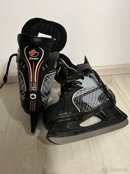 Lední brusle Tempish