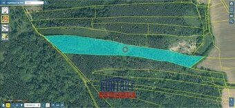 Prodej atraktivního lesního pozemku v okrese Strakonice