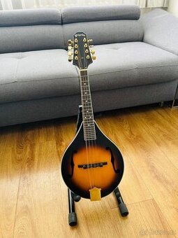 Pilgrim VPMA30. Mandolína