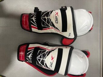 holeni chranice Bauer