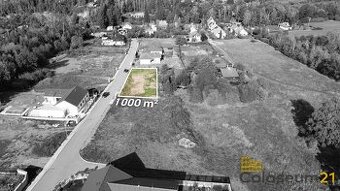Prodej stavebního pozemku 1001m2,Družec, ev.č. 00395 - 1