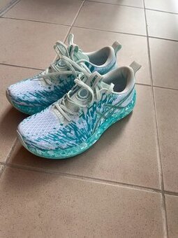 Asics NOOSA tri 16 - 1