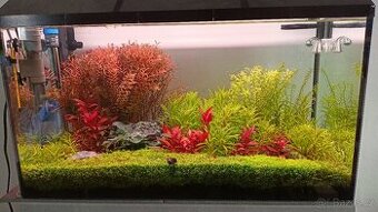 akvarium