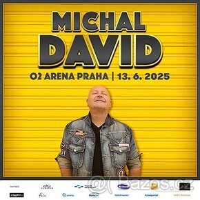 O2 Arena VIP - MICHAL DAVID