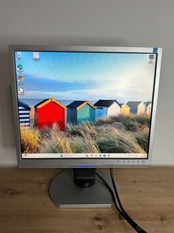 LCD Monitor 19" Philips HNB9190T