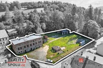 Prodej, pozemky/komerční, 2963 m2, Olešnice v Orlických horá