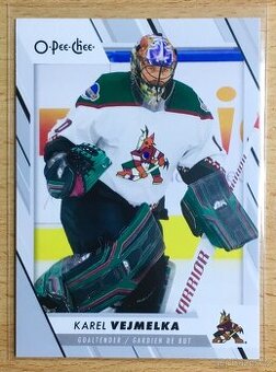 Hokejová karta NHL Karel Vejmelka