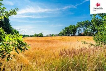 Prodej pozemku 11001 m2, Rodvínov