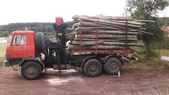 levné palivové dřevo kulatina přímo z tězby,doprava zdarma