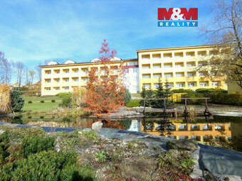 Prodej bytu 1+1, 42 m², Frymburk