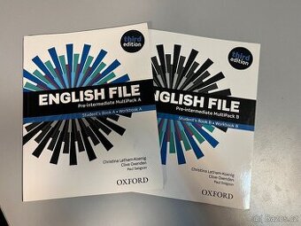 English File Pre-intermediate MultiPack B