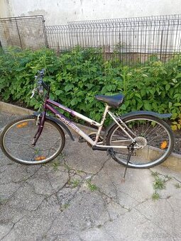 Kolo 26"