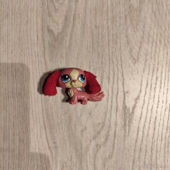 LPS pejsek chlupaté uši