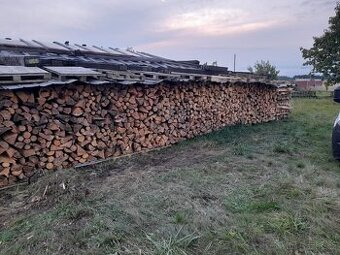 Prodám palivové dřevo