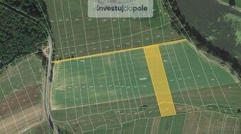 Prodej podílu 1/2 pole 3 000 m², Neurazy - Vojovice