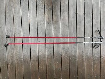 Běžecké hole ISG Expert délky 170cm