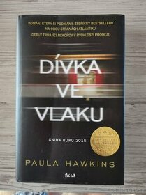 Dívka ve vlaku