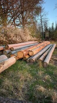 Palivové dřevo smrk, délky 8m/4m mix na výřez a na palivo